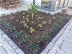 Greenscapes
