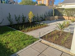 Greenscapes