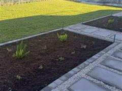 Greenscapes