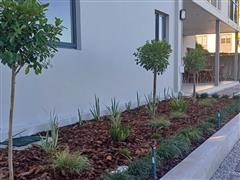Greenscapes
